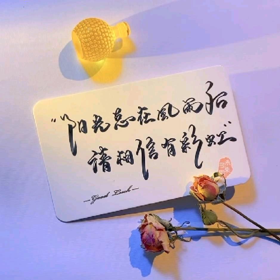 握瑾怀瑜