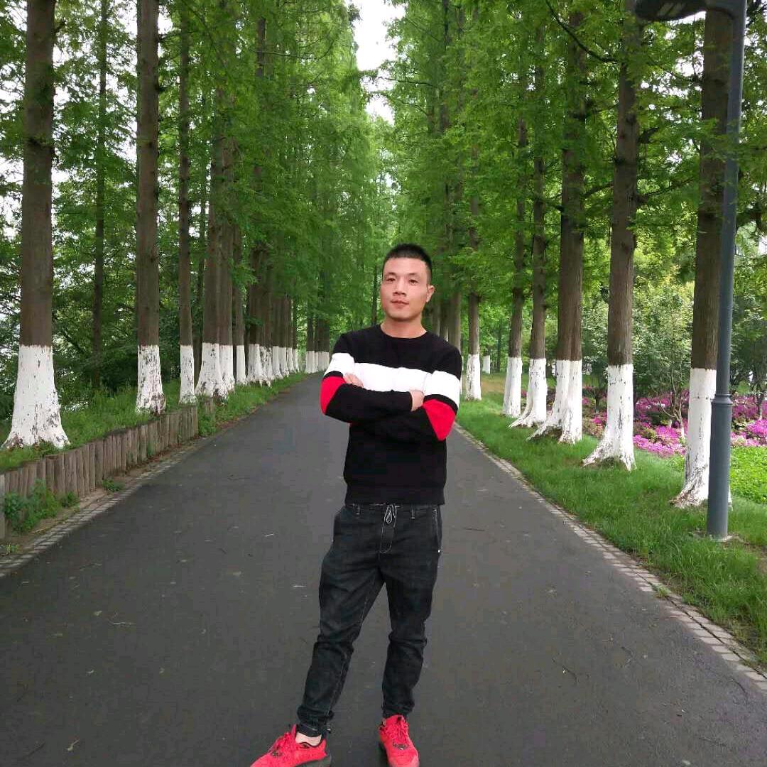 鹏