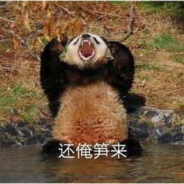 你与星河皆可藏🐼
