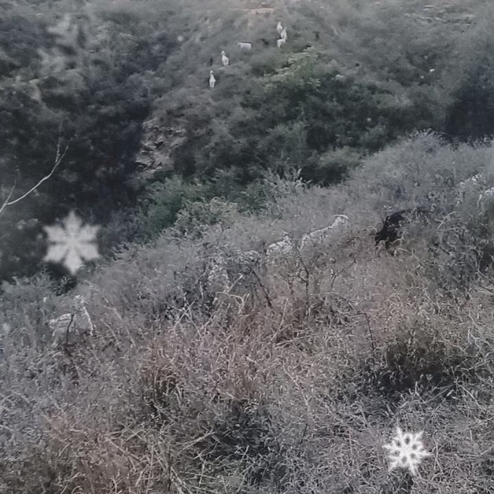 用户2145636085169