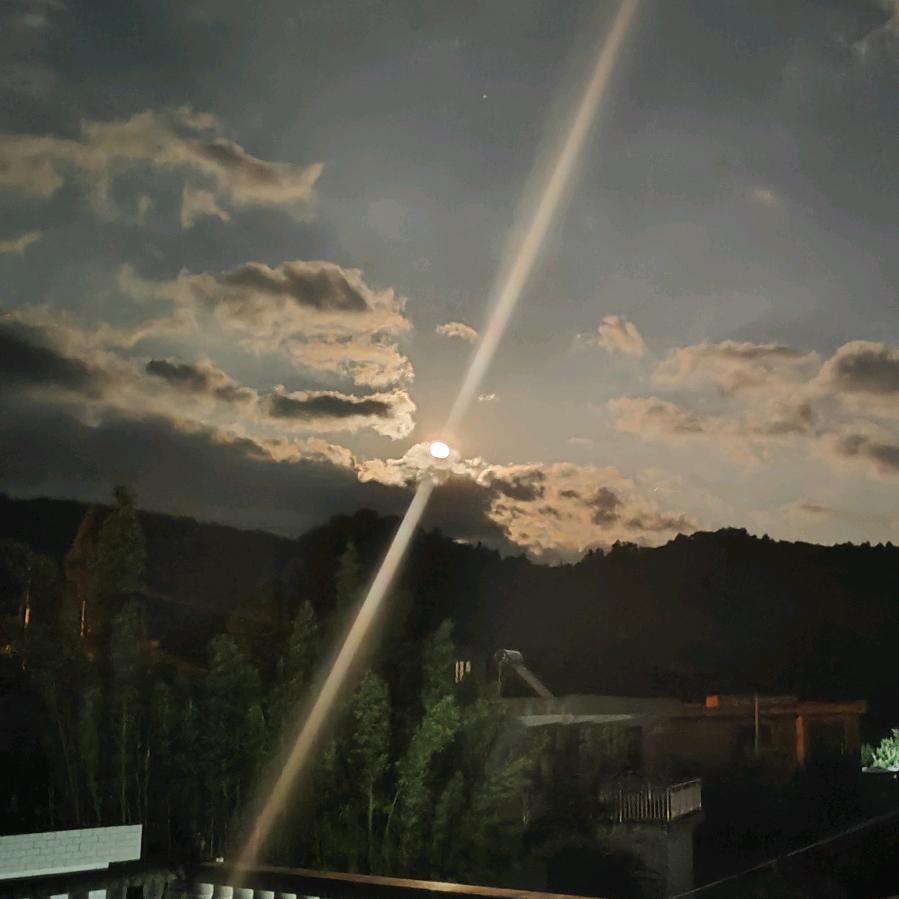¹⁹₉₅࿐旺旺大李包꧔ꦿ᭄₅₂₀