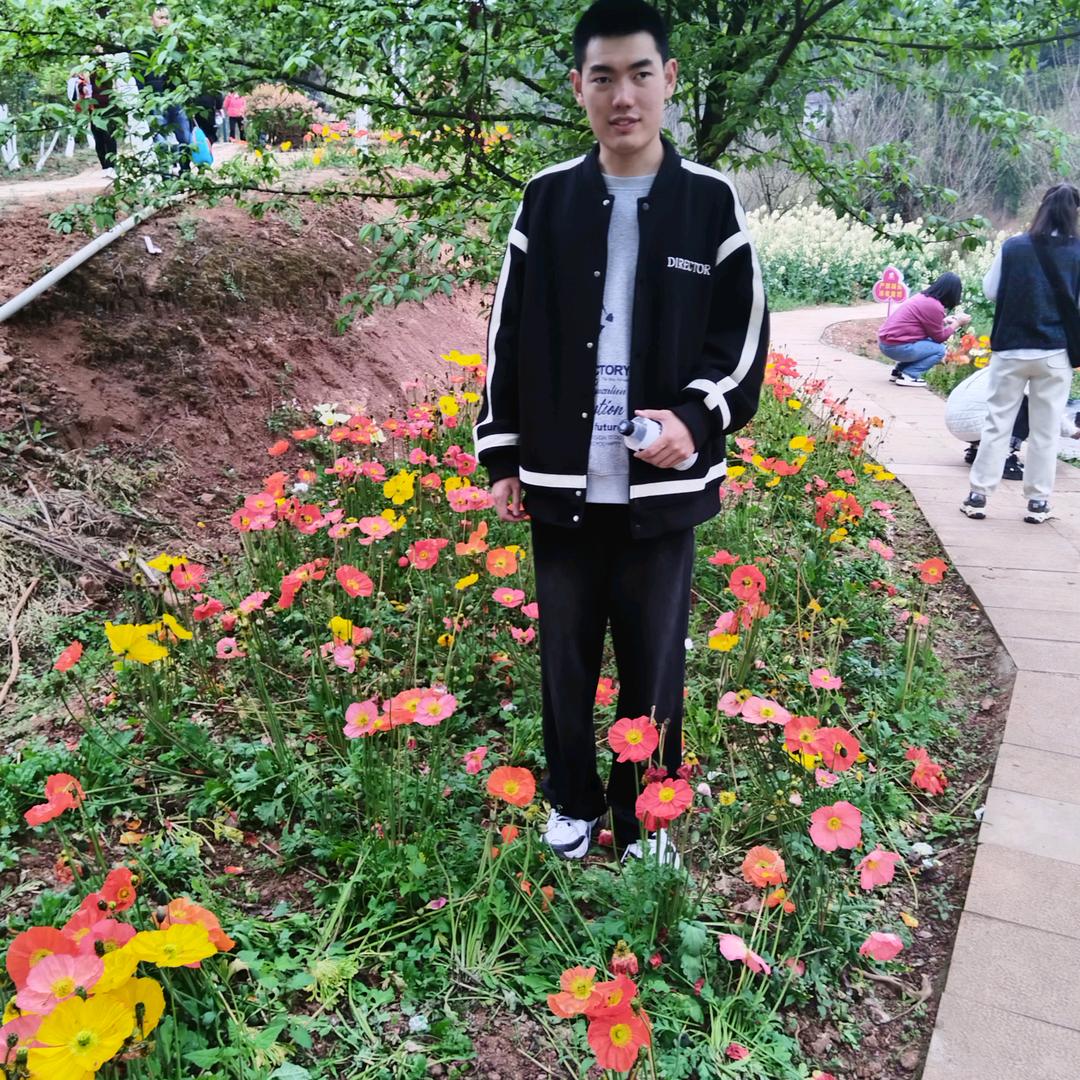 文之星