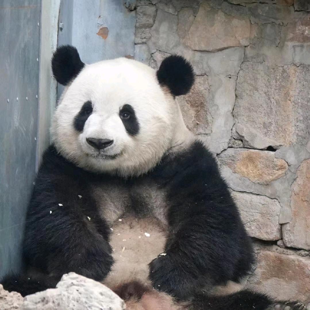 加油💪