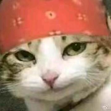 来财来财