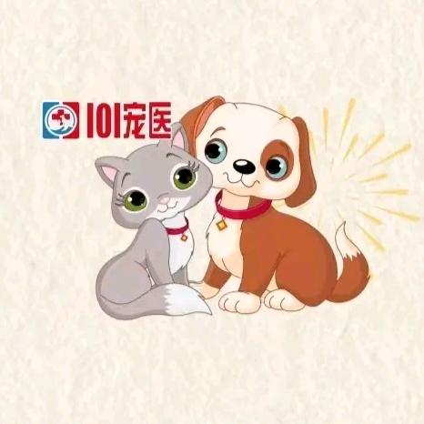 101宠医