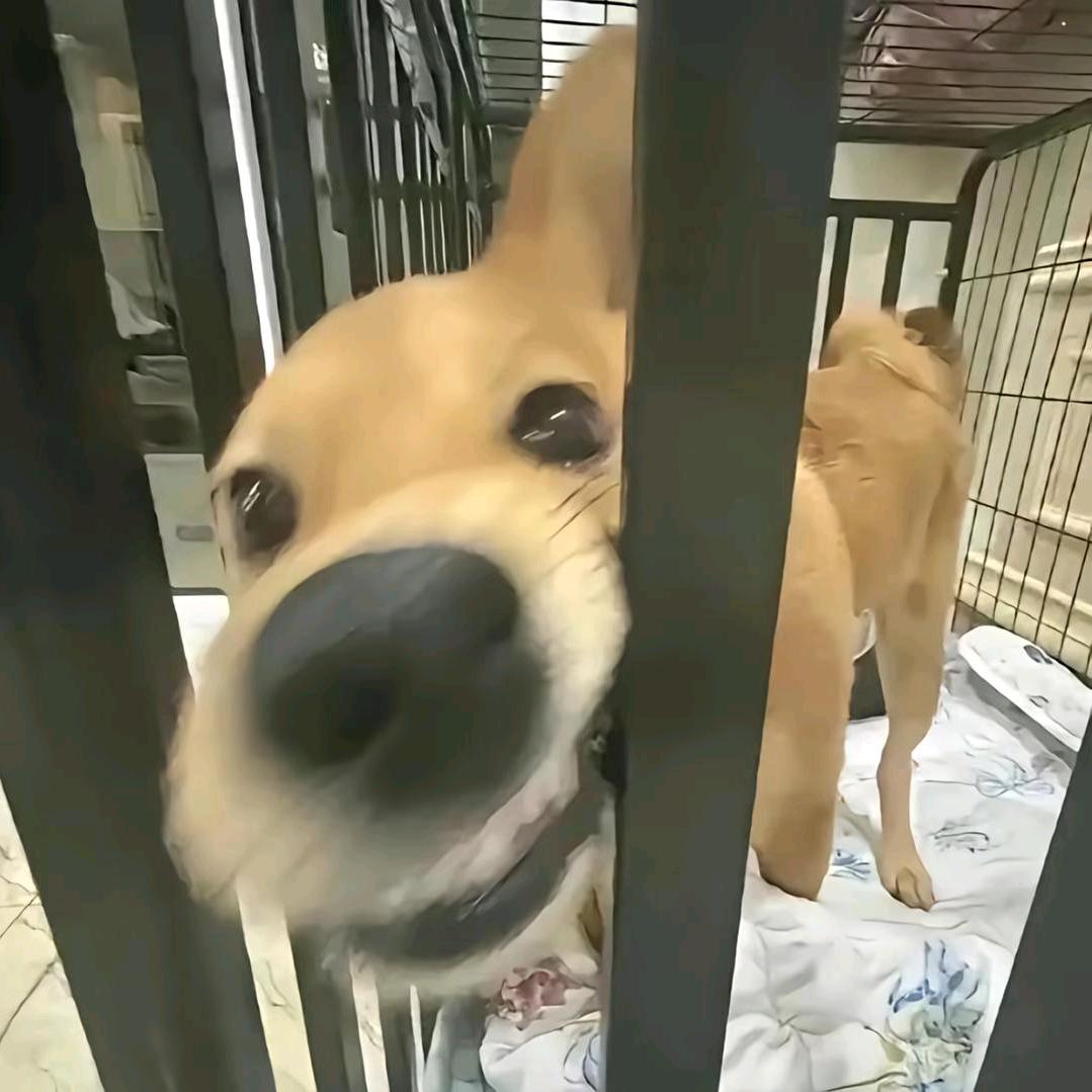 在果酱？