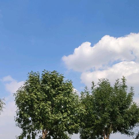 《天际》