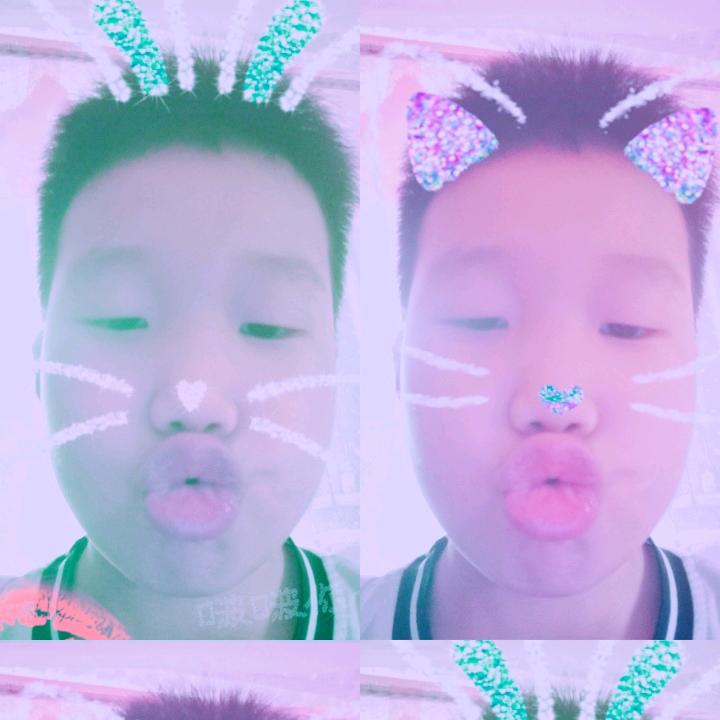 汉平养鸡场