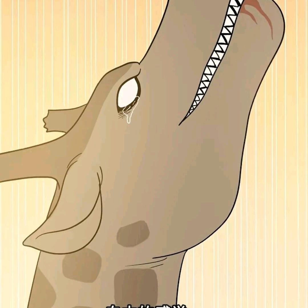 疯狂动物园     长颈鹿