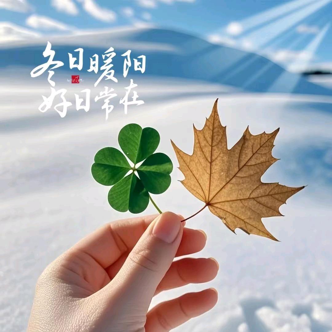暖阳浅笑❤️
