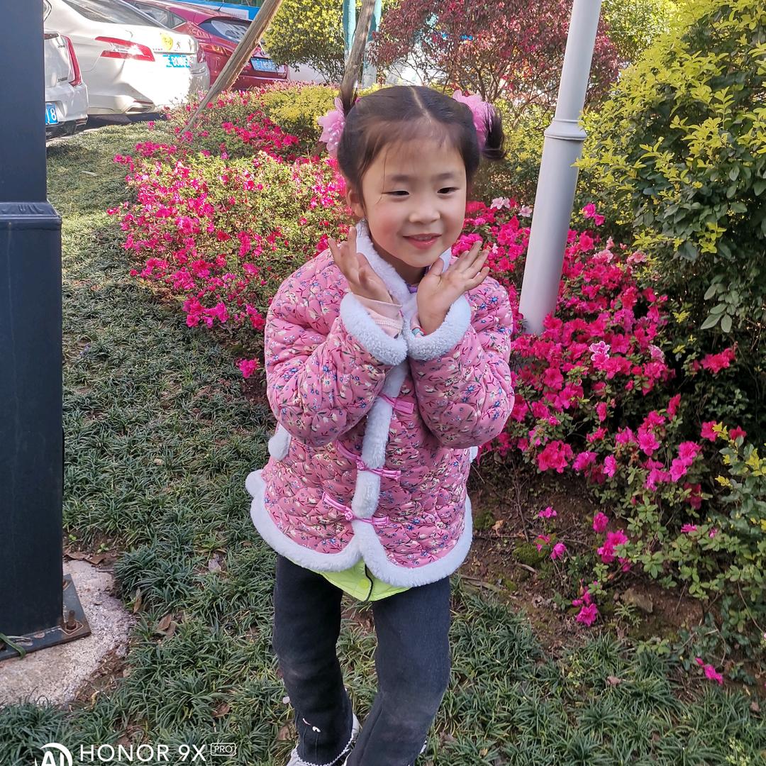 杨大姐@