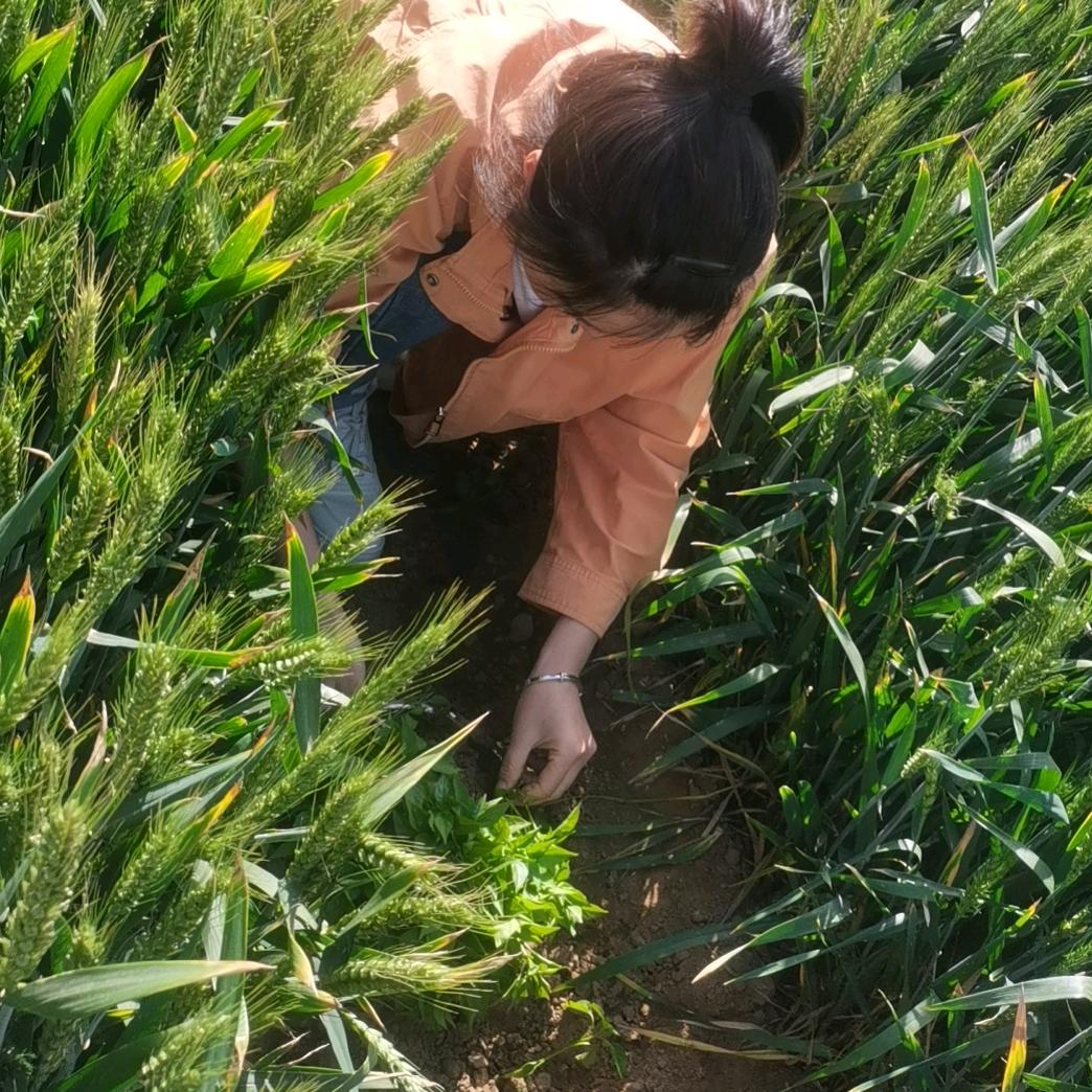 小妮妮（正再努力加油！）