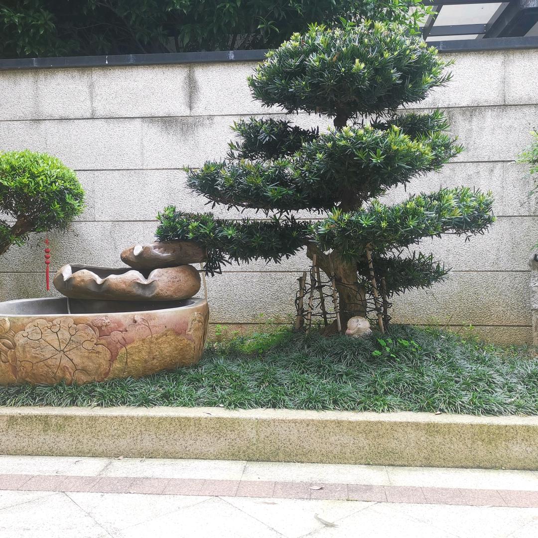 蓝黑情