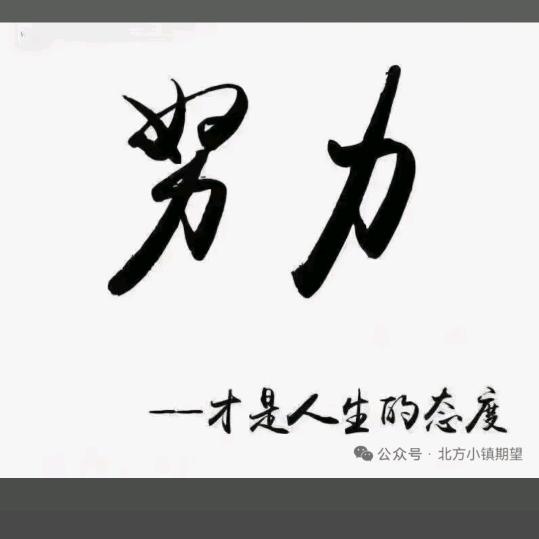 忘掉世间愁。踏马上自由。