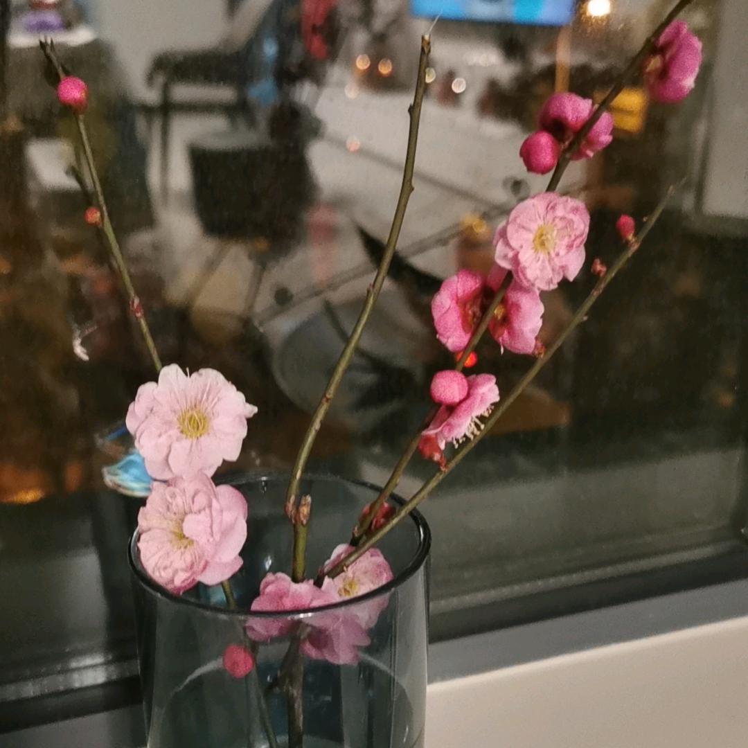 <静而不争>
