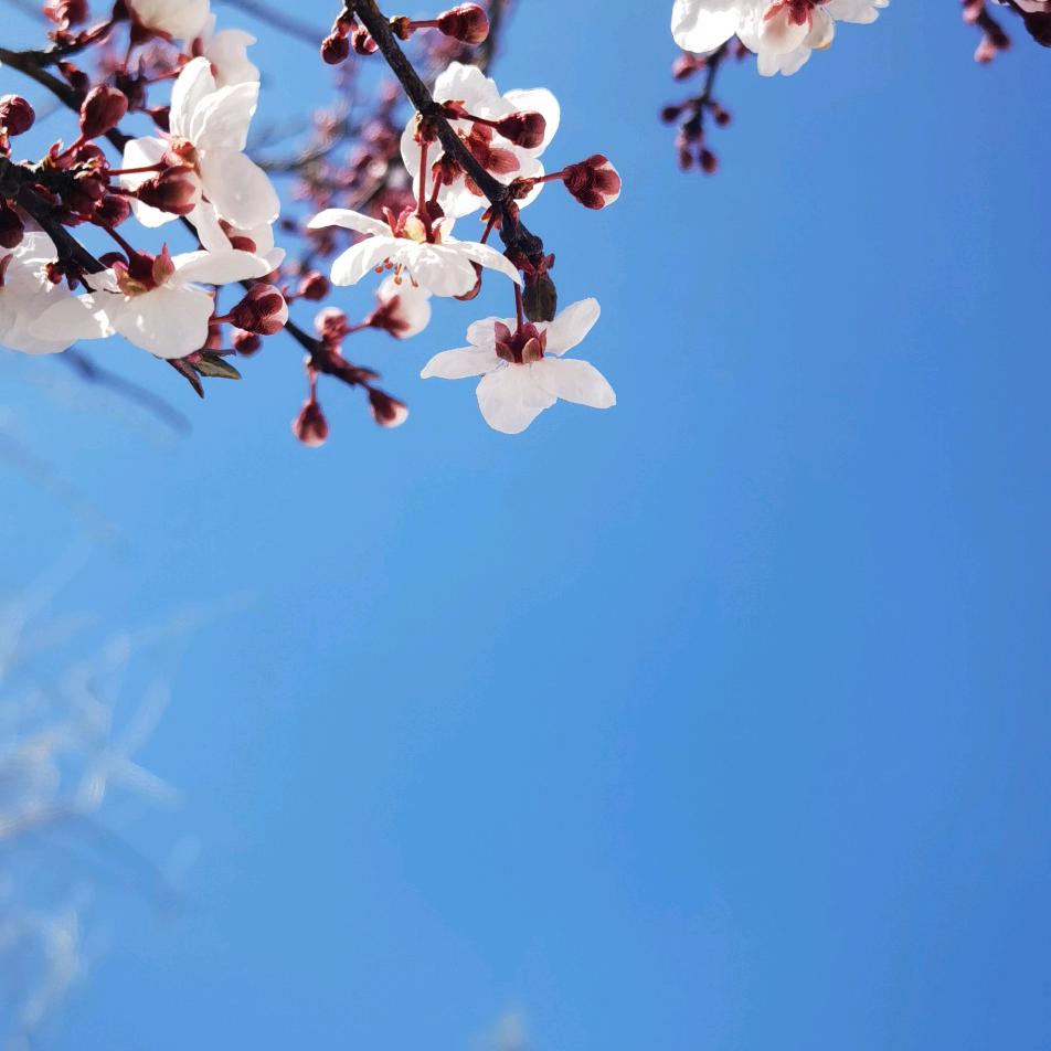 愿世间所有路都将与你相逢