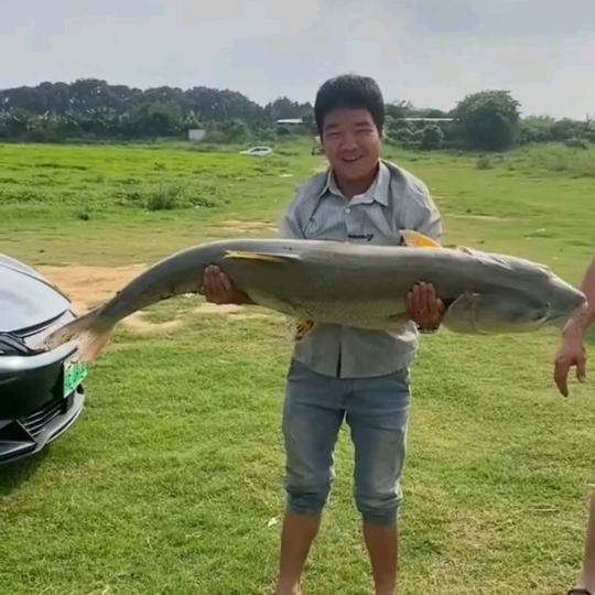 荒野钓鱼阿明