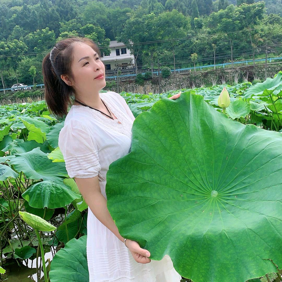 翔鹰姐姐