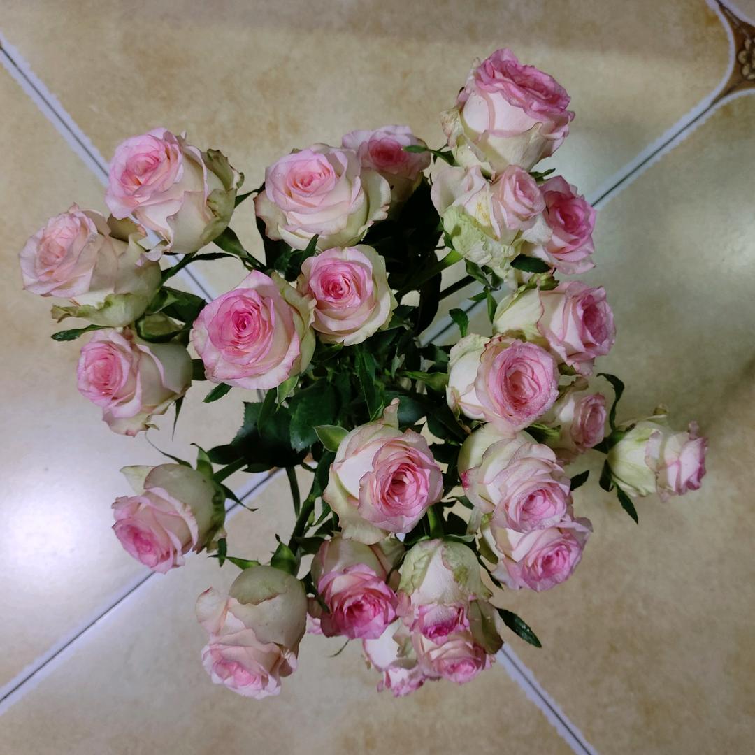 XXiao197568293