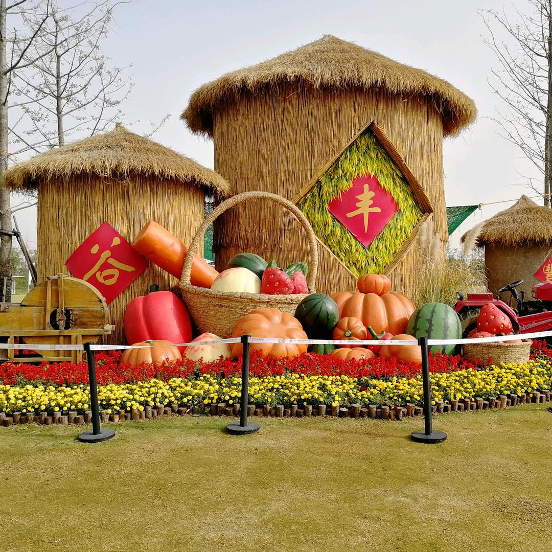 农资杂草-香附子水花生