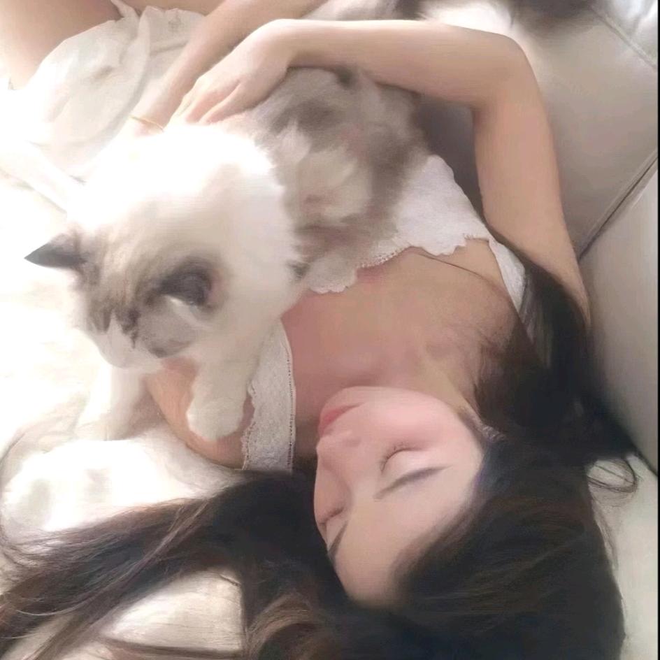 窝窝子