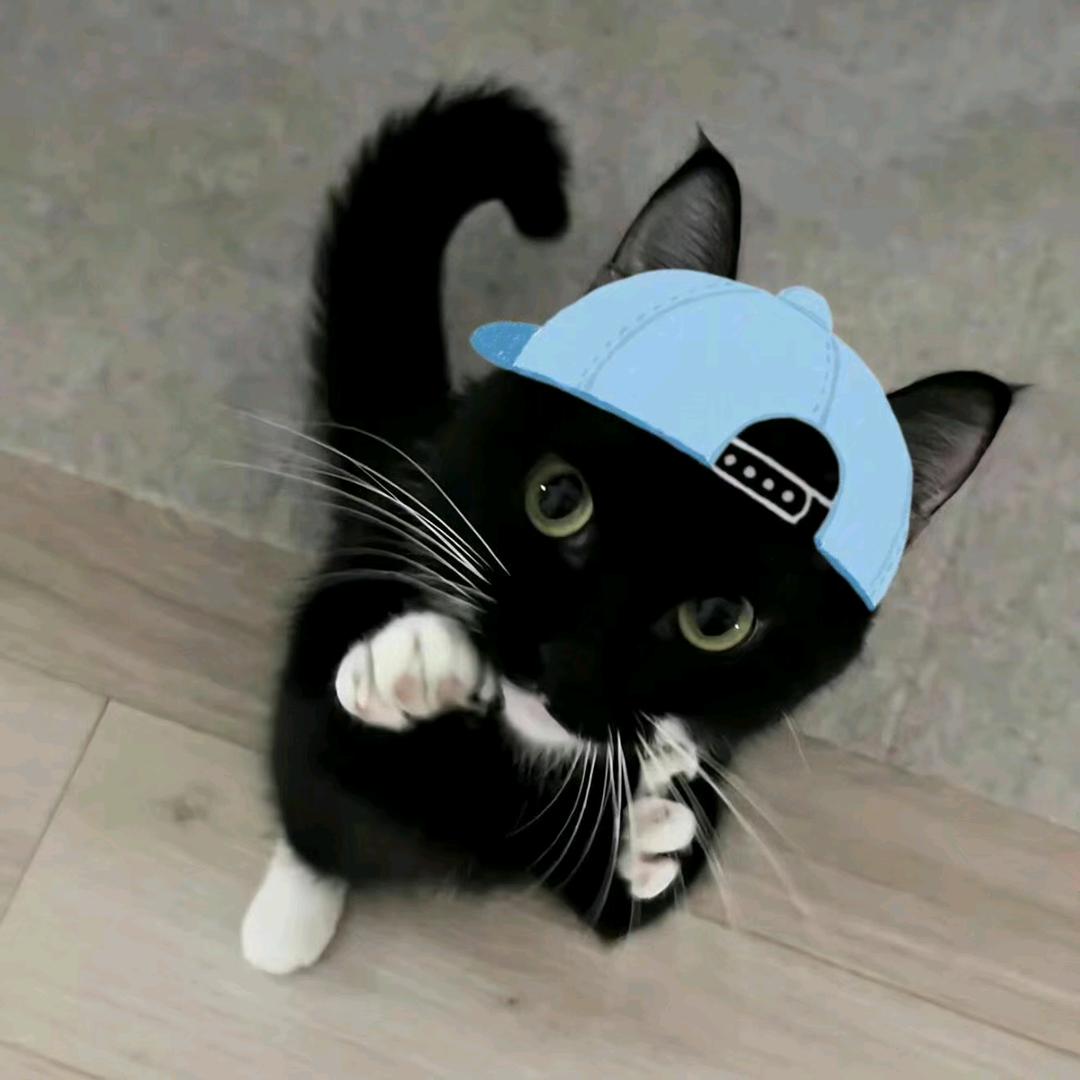 ̆ ̆𝕐̆𝕃̆ℤ̆ ̆̆