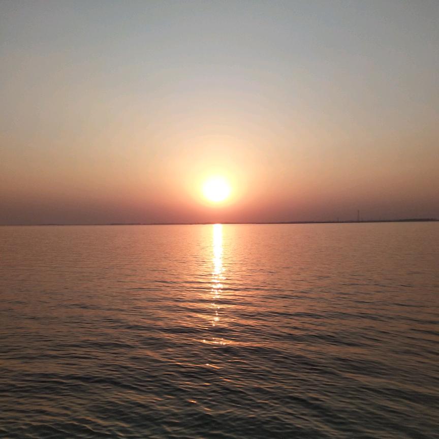 努力奋斗🌻🌻🌻