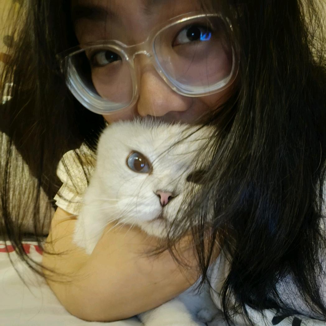茶茶的减肥日记