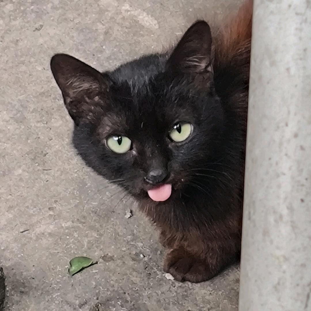 新房客