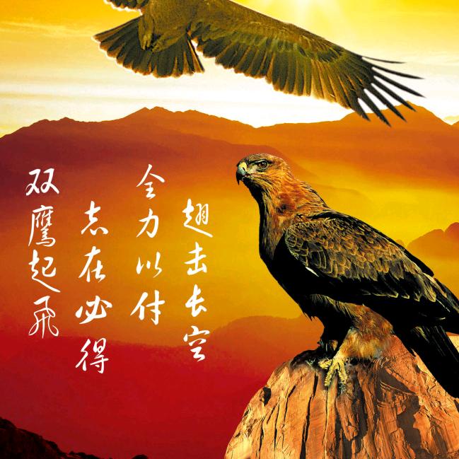 鹏程万里