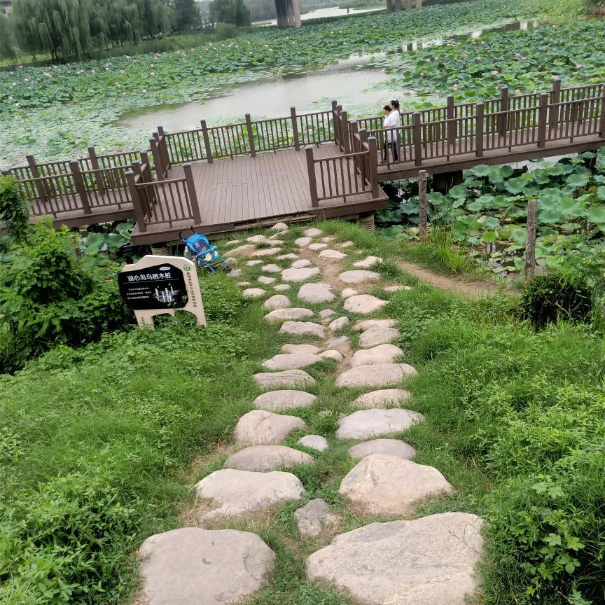 开心