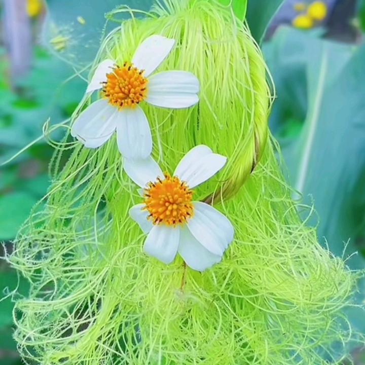 余生放过自己