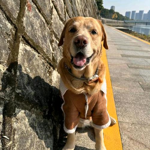 听风喝奶啤