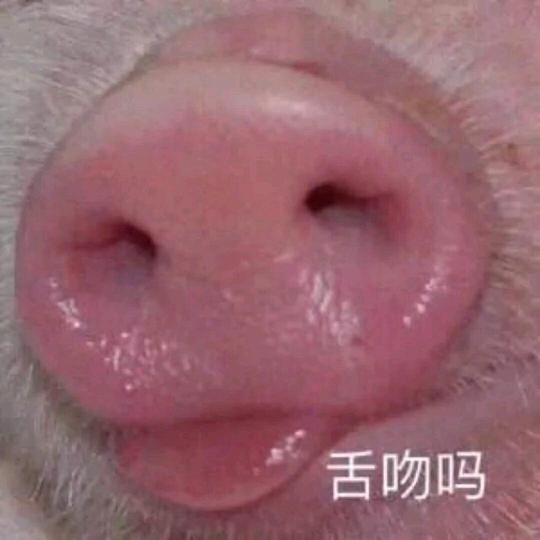 我叫xdc