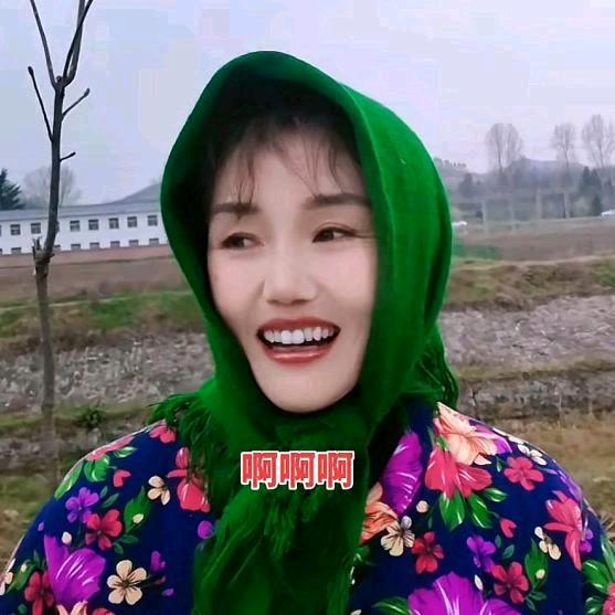 有凤来仪