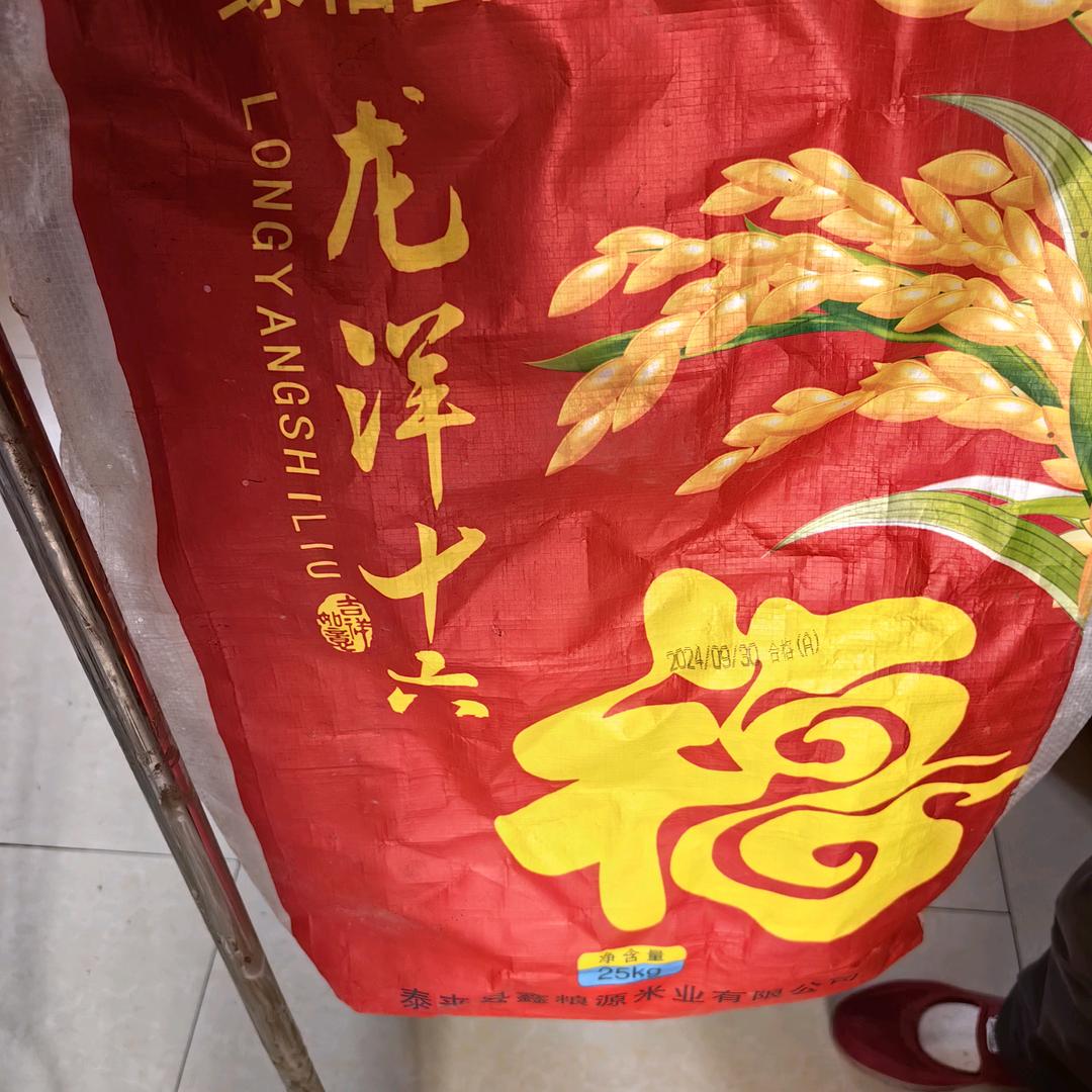 单身女孩