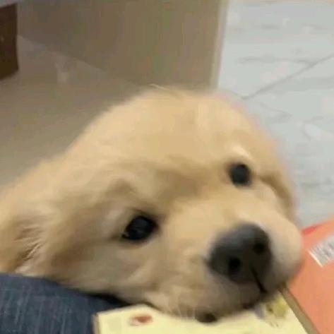 利群之马