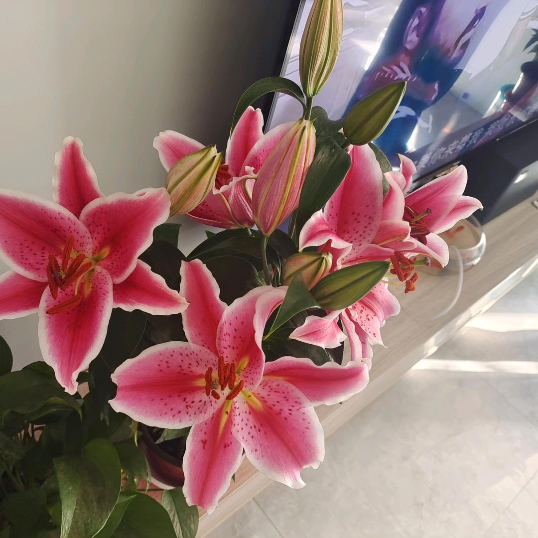 简简单单KKK