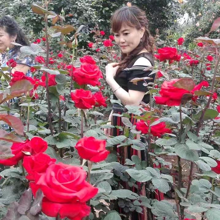 自在