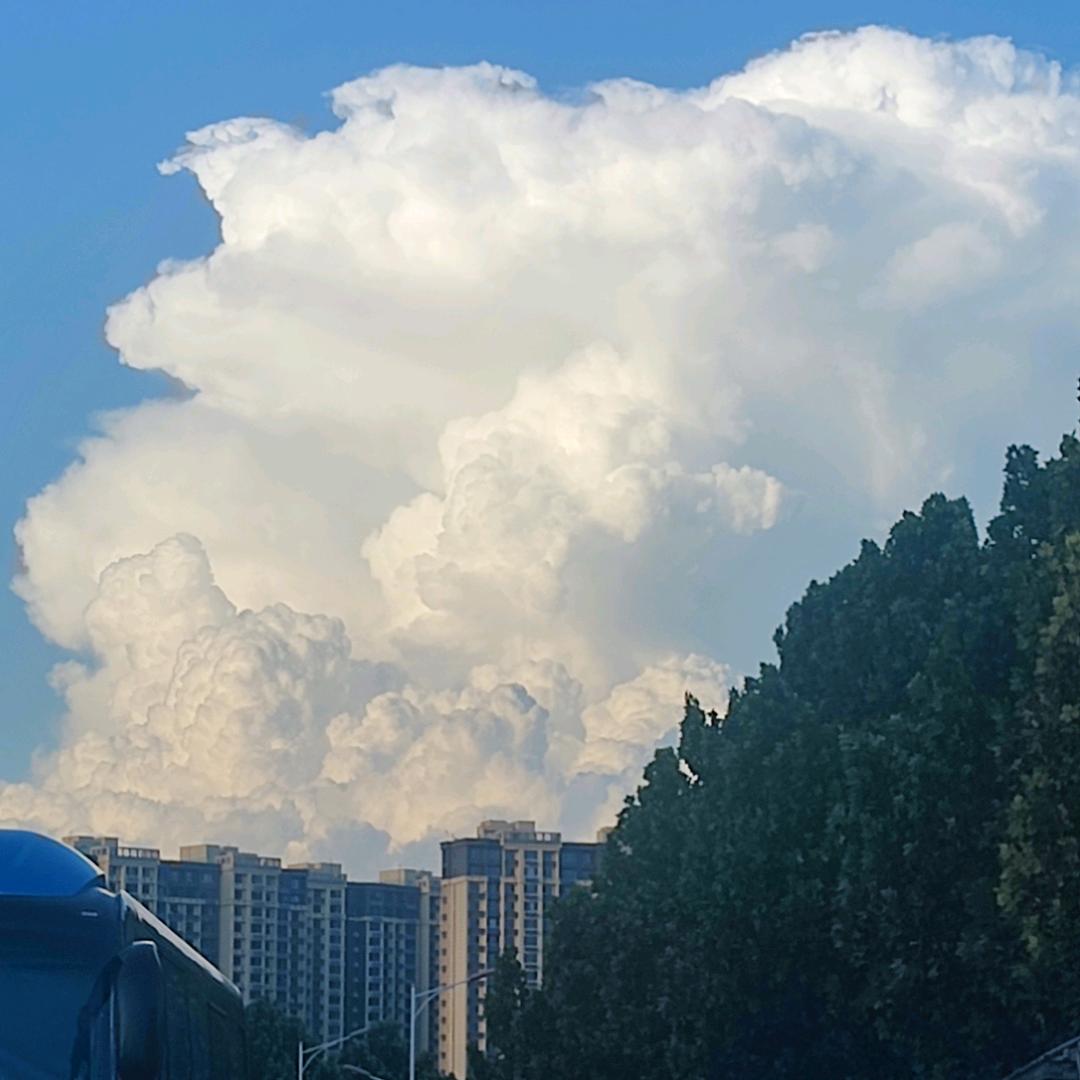 霍先生