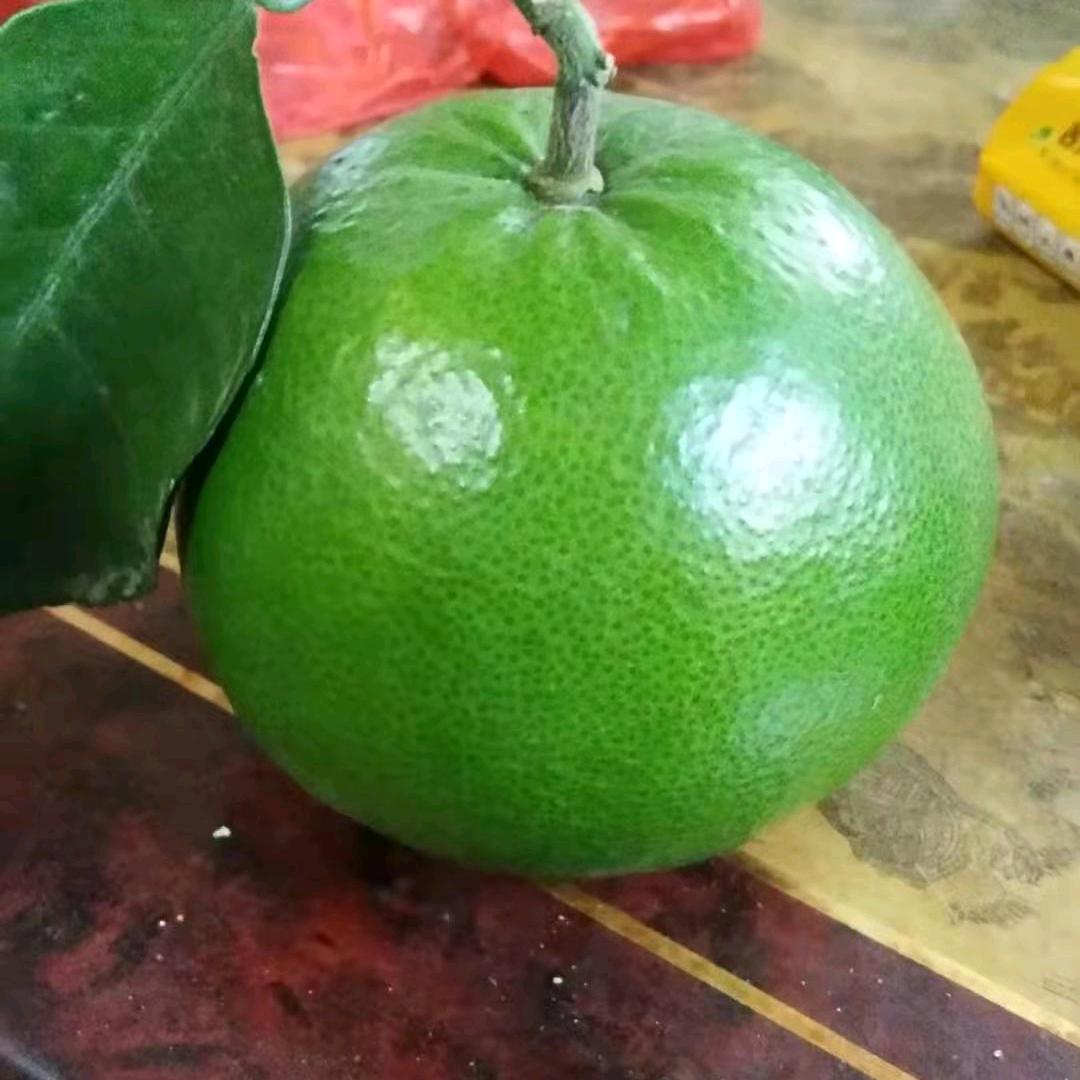 老陈。