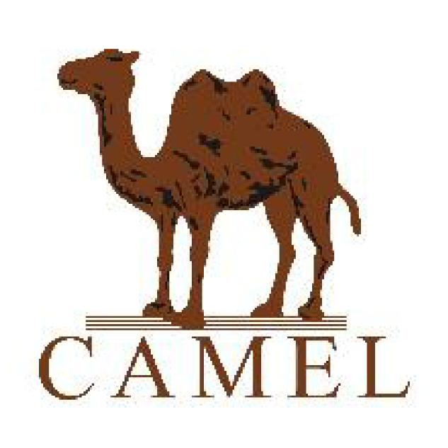 骆驼🐫