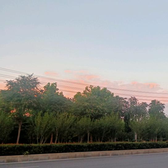 与芊骞有关
