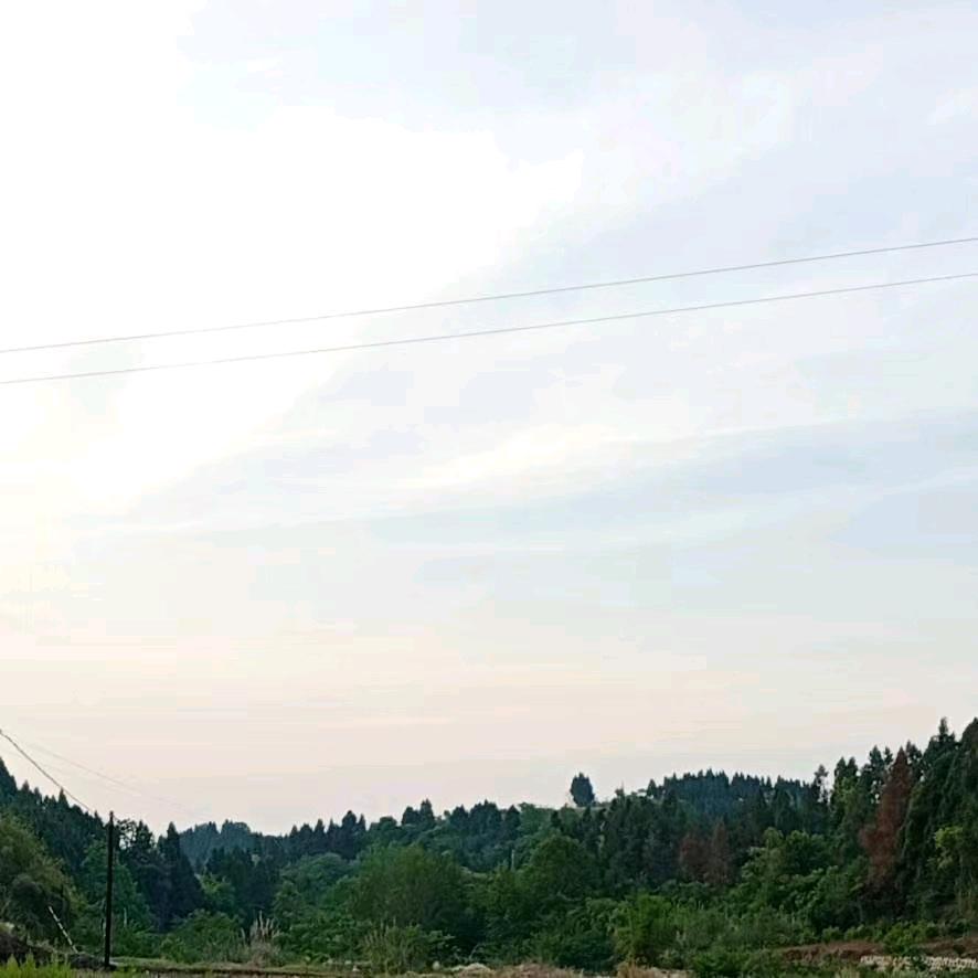 用户不回头，我庸俗