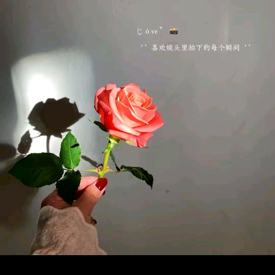 雨天🙌🏻🤝😻😛😛?