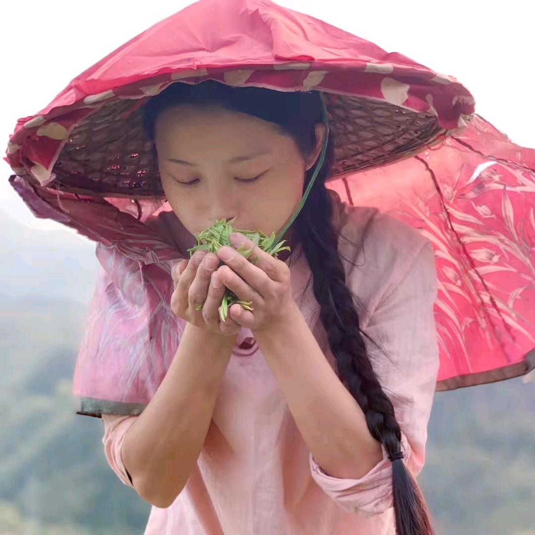 竹夏～小号直播