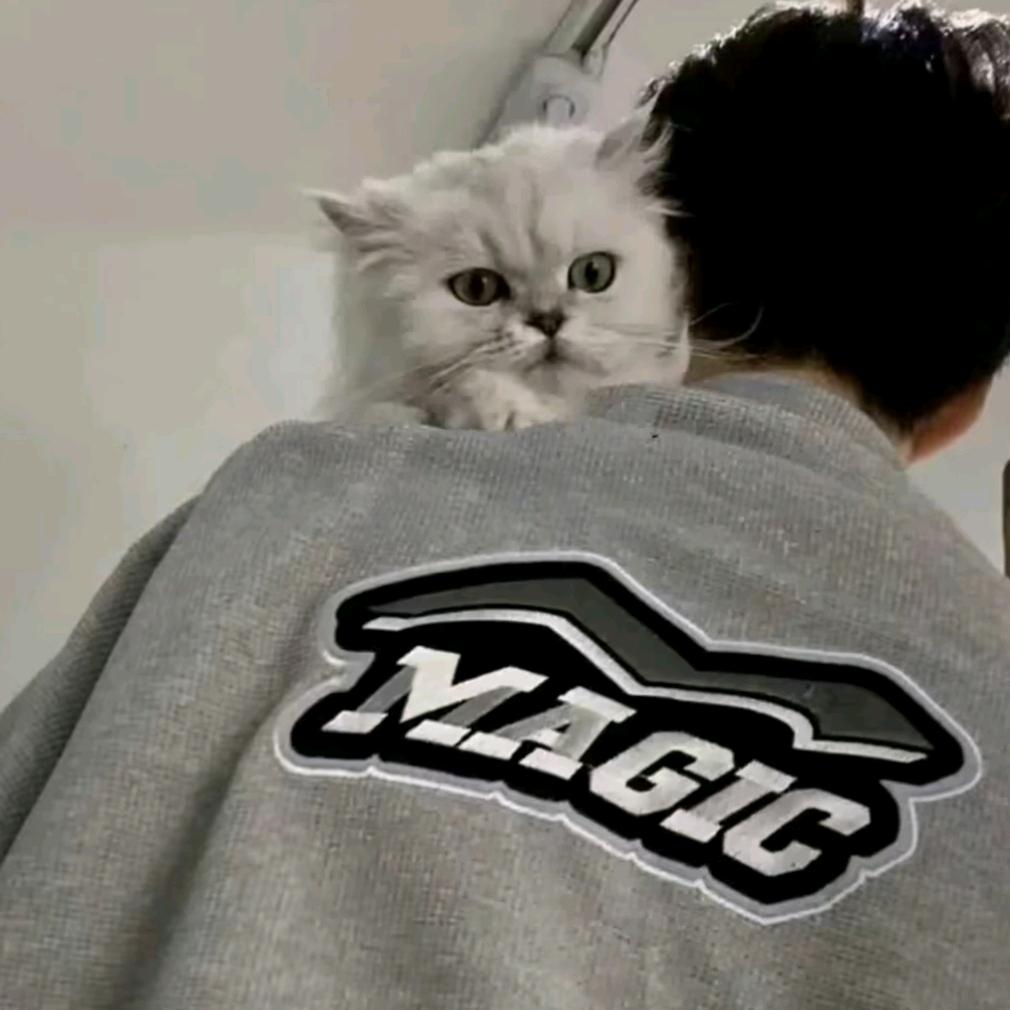 故事未完结..