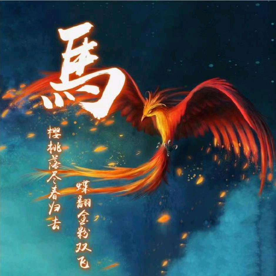 小马哥