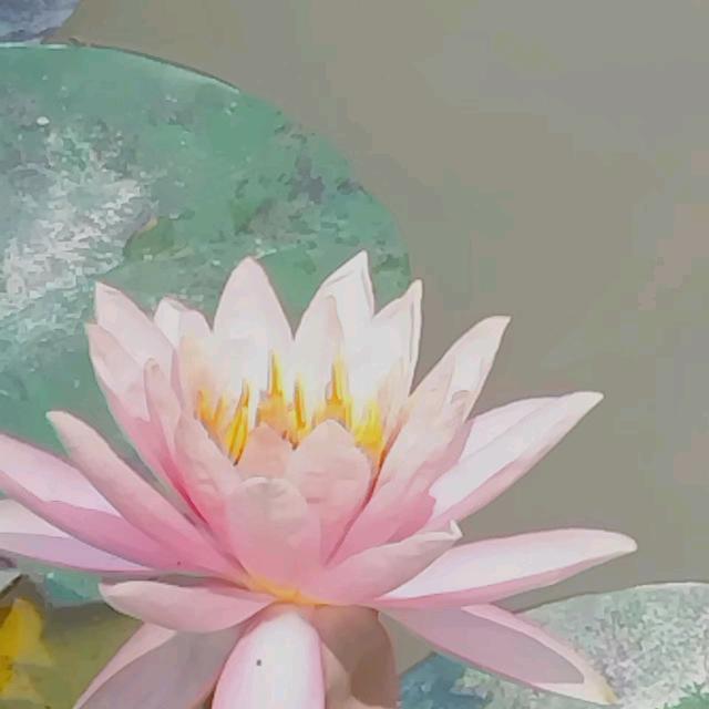 庄秀容，金洲模具五金配件