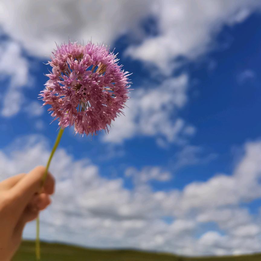 开开开往早晨的午夜